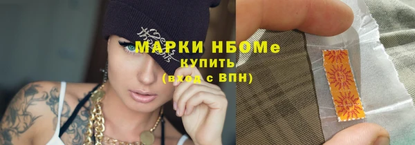 стаф Инта