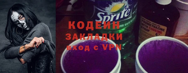 PSILOCYBIN Инсар