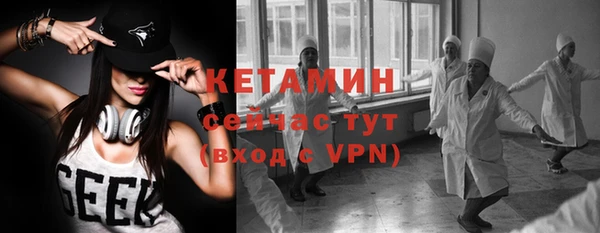 стаф Инта