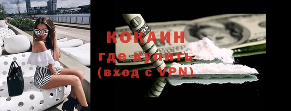 стаф Инта