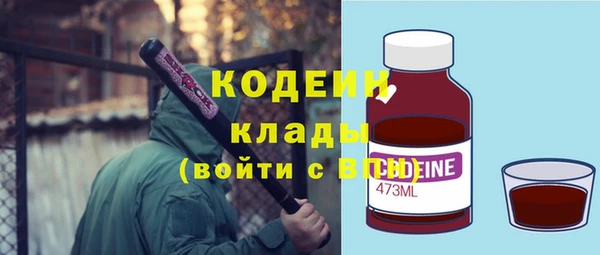стаф Инта