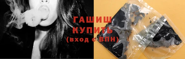 стаф Инта