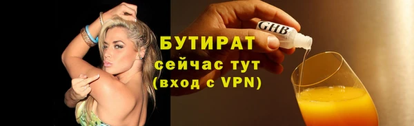 стаф Инта