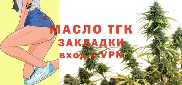 стаф Инта