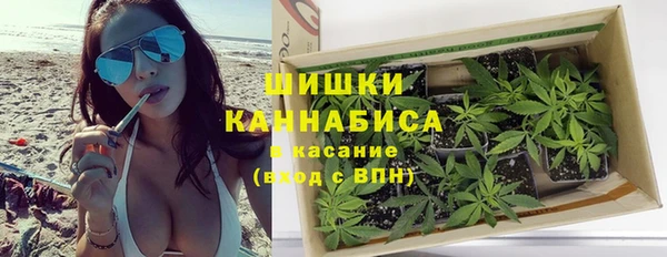 PSILOCYBIN Инсар
