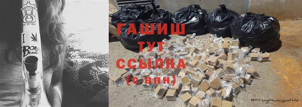 стаф Инта
