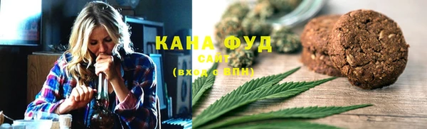 стаф Инта