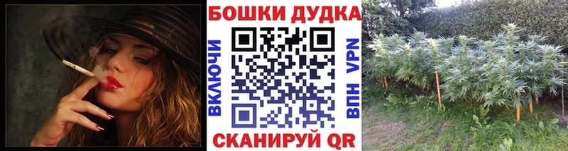 Бошки марихуана OG Kush  Купить  Инза 